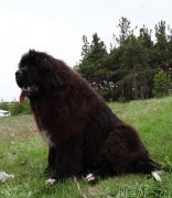 Превью фото № 182389