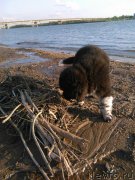 Превью фото № 182411