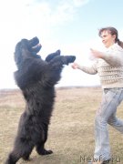 Превью фото № 182552