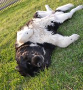 Превью фото № 182561