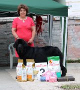 Превью фото № 182575