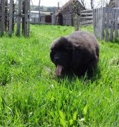 Превью фото № 182579