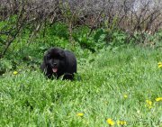 Превью фото № 182581