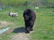 Превью фото № 182657