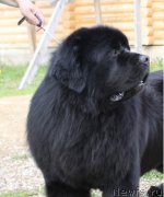 Превью фото № 182673