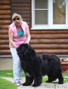 Превью фото № 182752