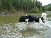 Превью фото № 182756