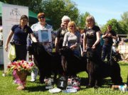 Превью фото № 182815