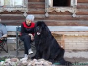 Превью фото № 182817