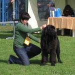 Превью фото № 18283