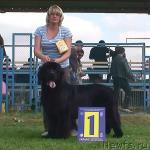 Превью фото № 18285