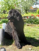 Превью фото № 182867