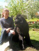 Превью фото № 182868