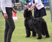 Превью фото № 182966