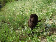 Превью фото № 182999