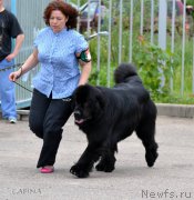 Превью фото № 183005