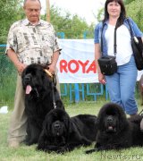 Превью фото № 183006