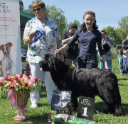 Превью фото № 183022