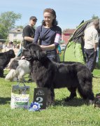 Превью фото № 183025