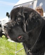 Превью фото № 183030