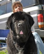 Превью фото № 183033