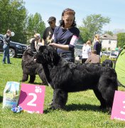 Превью фото № 183035