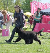 Превью фото № 183047