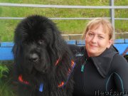 Превью фото № 183093