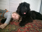 Превью фото № 183120