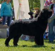 Превью фото № 183175