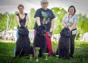 Превью фото № 183191