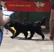 Превью фото № 183310