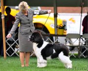 Превью фото № 183341