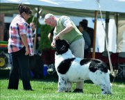 Превью фото № 183343