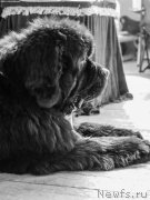 Превью фото № 183347