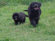 Превью фото № 183463