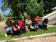 Превью фото № 183513