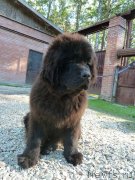 Превью фото № 183582