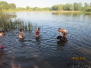 Превью фото № 183645