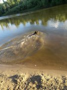 Превью фото № 183647