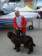 Превью фото № 183650