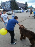 Превью фото № 183654