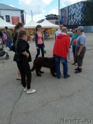 Превью фото № 183655