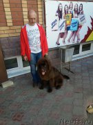 Превью фото № 183658