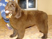 Превью фото № 183670