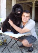 Превью фото № 183671