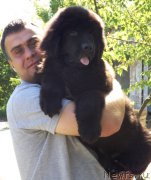 Превью фото № 183673