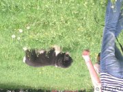 Превью фото № 183694