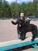 Превью фото № 183719