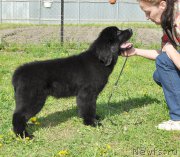 Превью фото № 183747